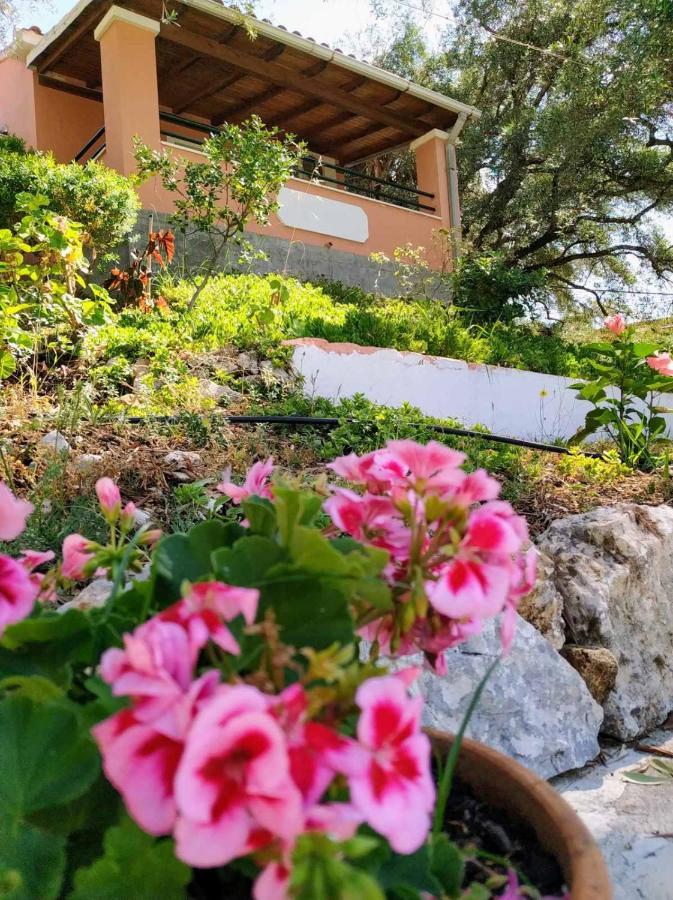 Villa Stefanos Apartments By Hotelius Glyfa المظهر الخارجي الصورة
